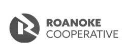 Roanoke Coop - grey